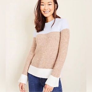 Ann Taylor sweater (petite XXS)